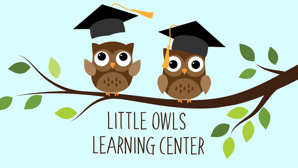 Little Owls Learning Center LLC