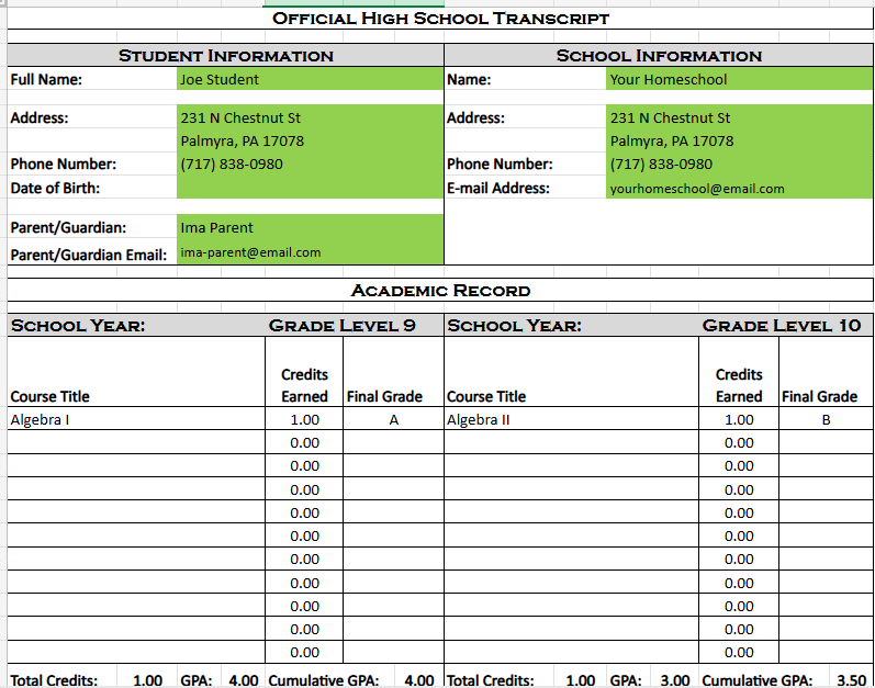 Sample transcript preview